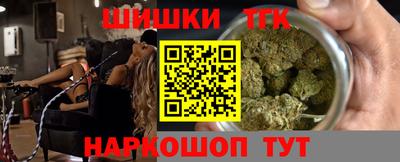 мдпв Камышлов