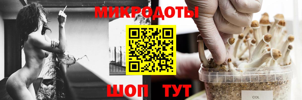 Галлюциногенные грибы Psilocybe Краснокаменск